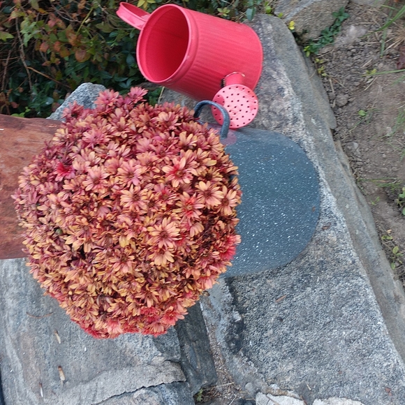 #5 VINTAGE Graniteware Dual Handled Country Pot - Picture 3 of 9